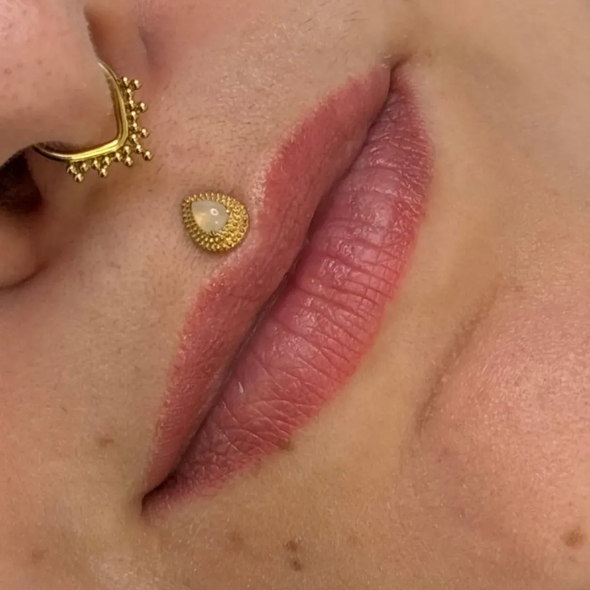 Abgeheilte Lippen, Farbton Rosa-Braun