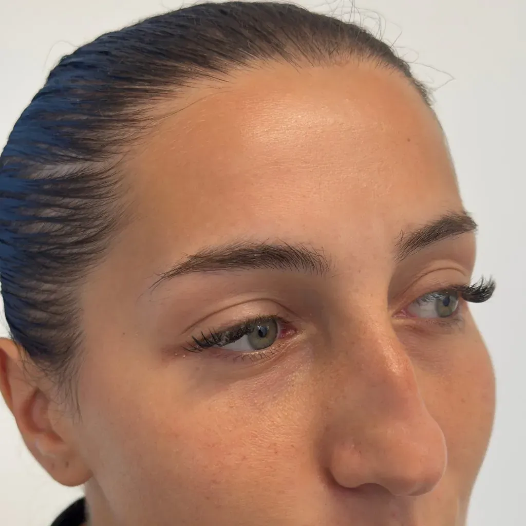 Eyebrows of a brunette before powder brows