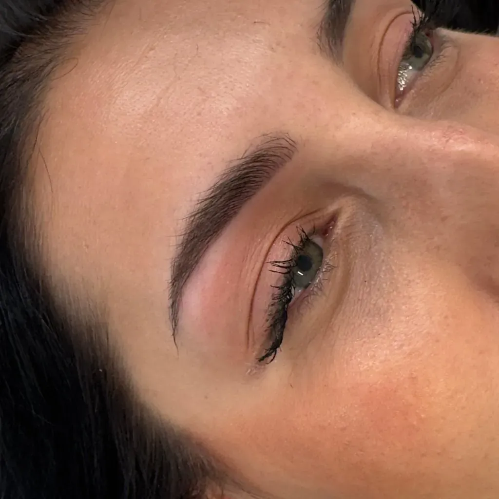 Eyebrows of a brunette, healed powder brows