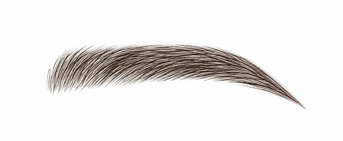 Illustration einer Augenbraue mit Microblading, Härchentechnik