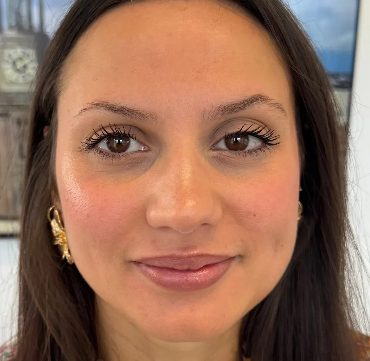 Brunette client, natural brows before powder brows