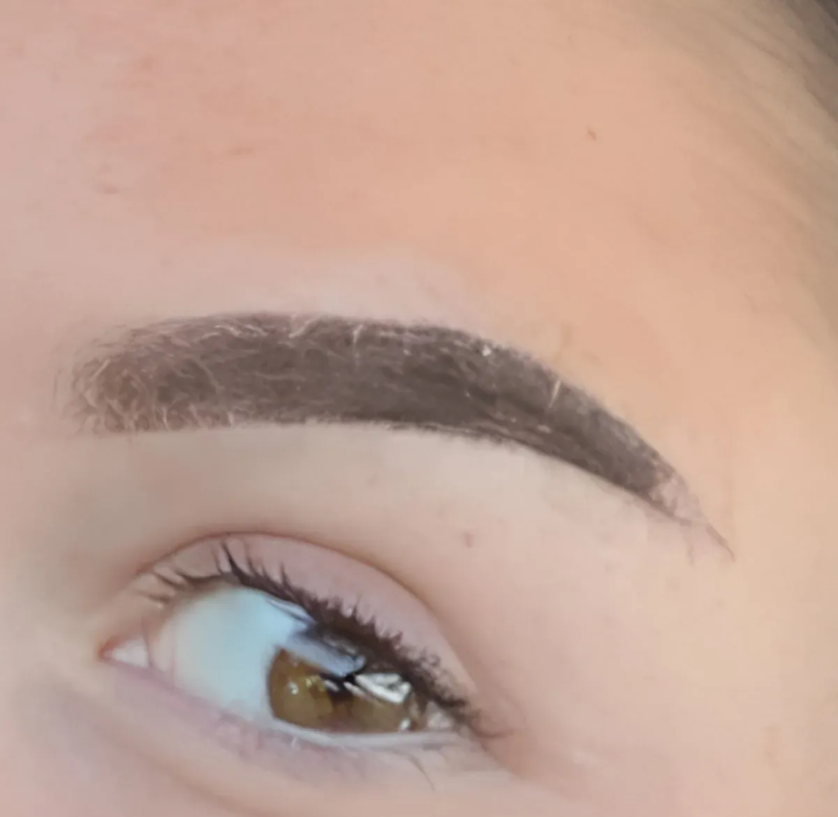 Powder brows, healing in progress